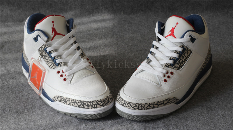 Air Jordan III 3 OG True Blue White Nike Back